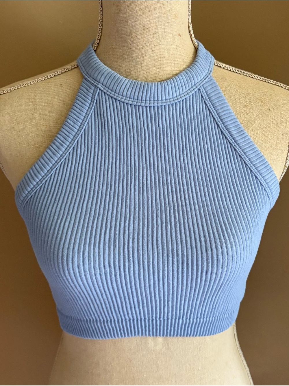 Aerie Free Spirit High Necked Carolina Blue Ribbed Halter Crop